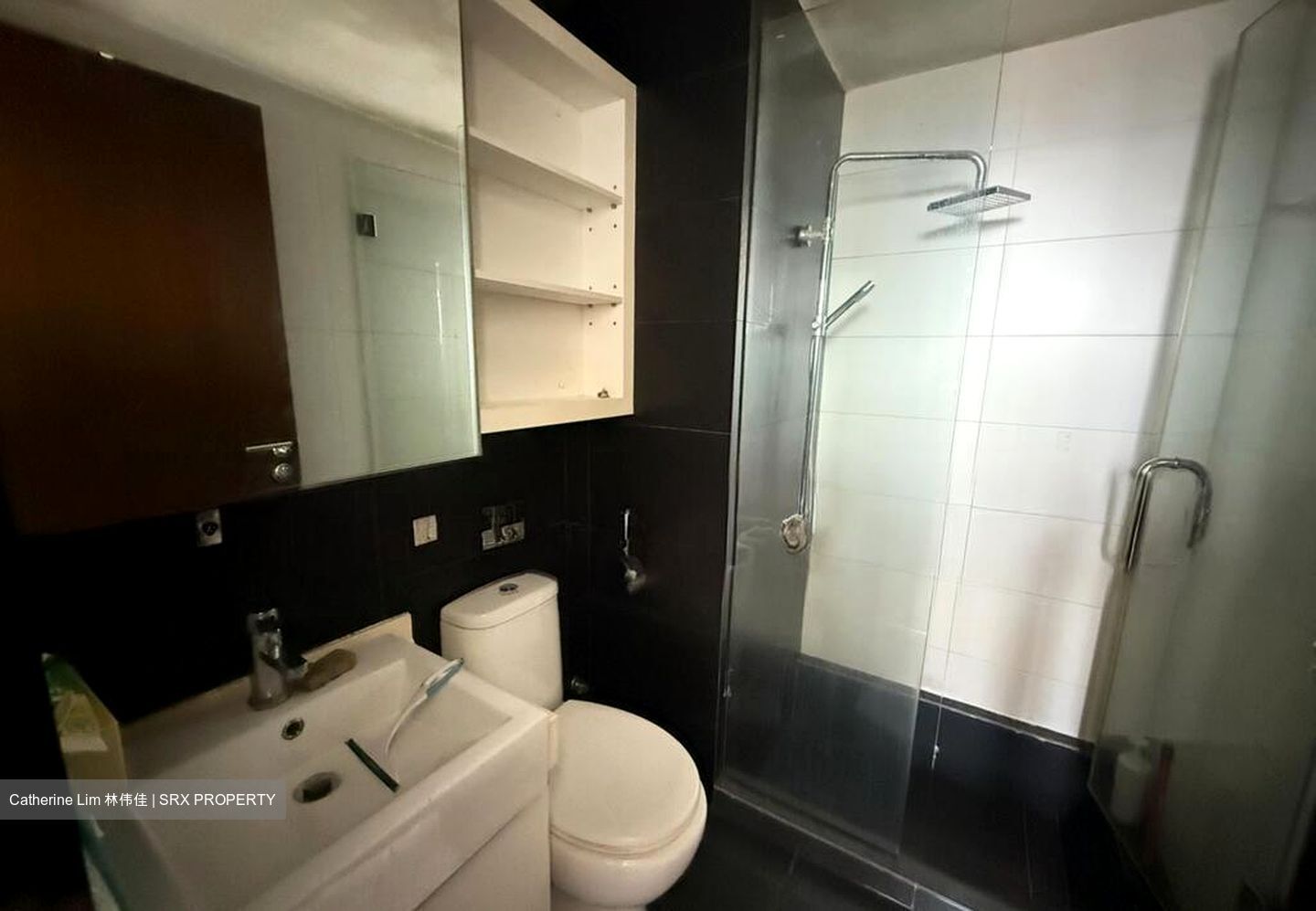 Haig 162 (D15), Apartment #496252661